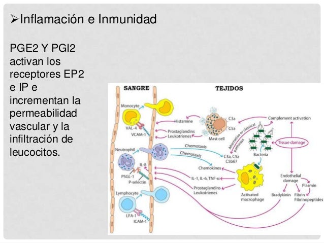 eicosanoides inflamacion